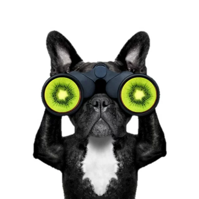 income protection insurance