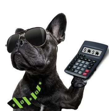 mortgages whangarei and taupo
